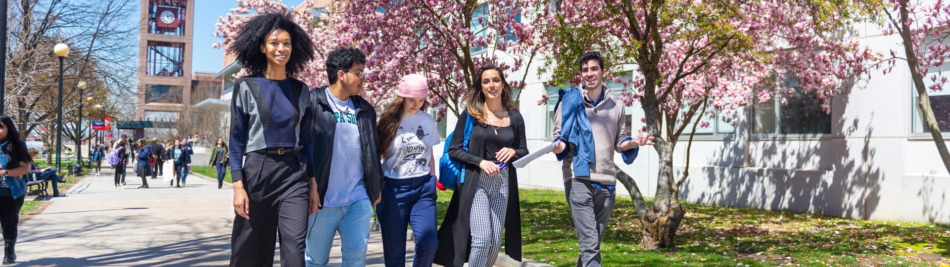 Group of students walking on the quad